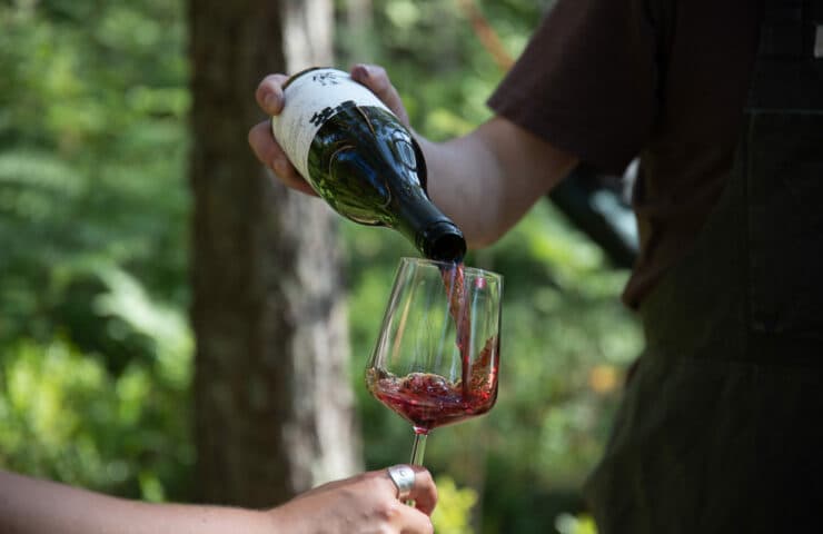 Luontokeskus Haltia - Wine in the Woods elämys