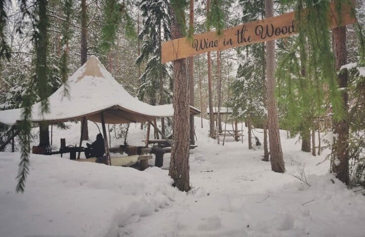 Luontokeskus Haltia - Wine in the Woods elämys talvi