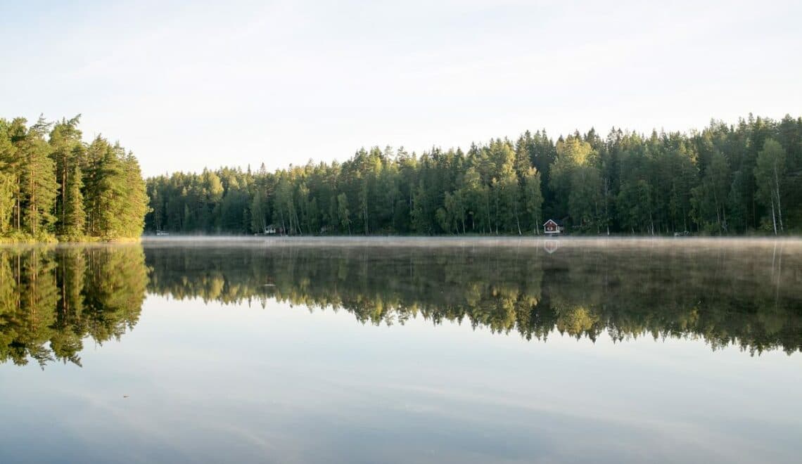 Happens - Hawkhill nuuksion kansallispuisto